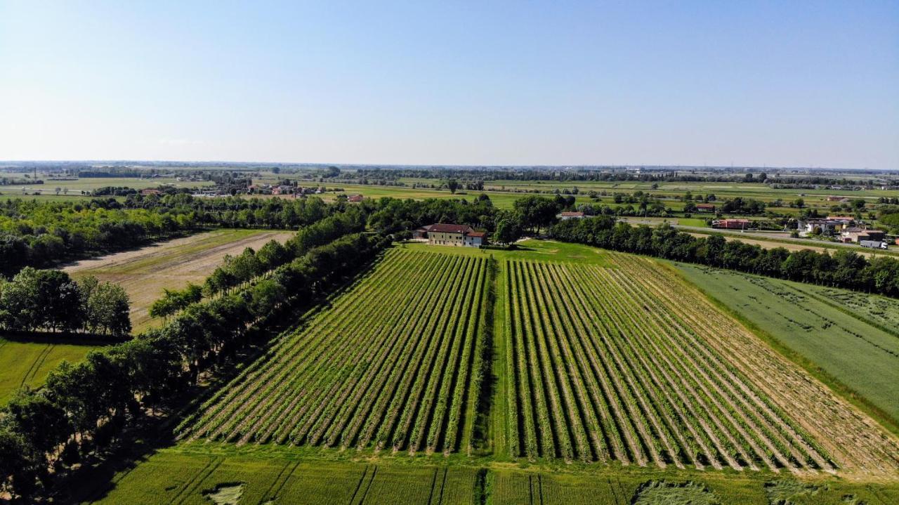 Agriturismo Ae Cavane Codevigo Luaran gambar